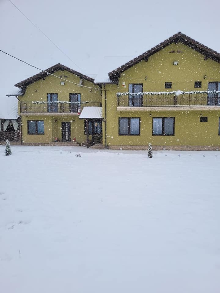 Casa Sofia Avrig Villa Exterior photo